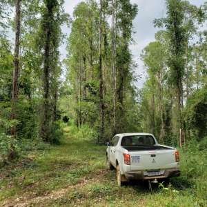 imagem texto Programa de Regularização Ambiental 1